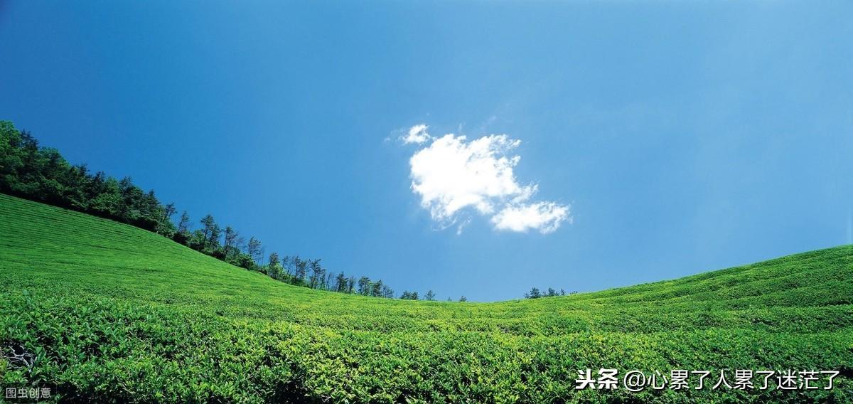 人生感悟的励志语录，人生，由我不由天，幸福，由心不由境(图1)