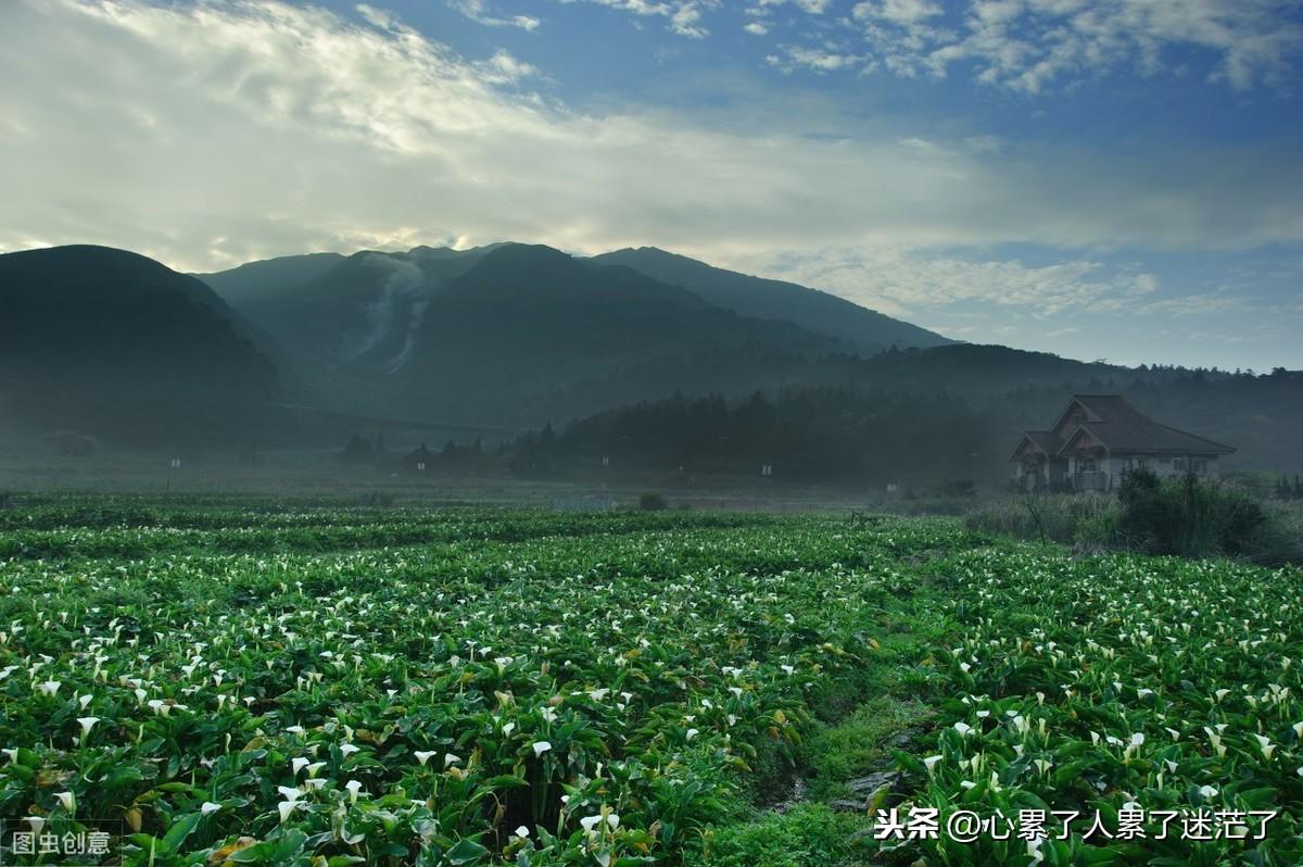人生感悟的励志语录，人生，由我不由天，幸福，由心不由境(图3)