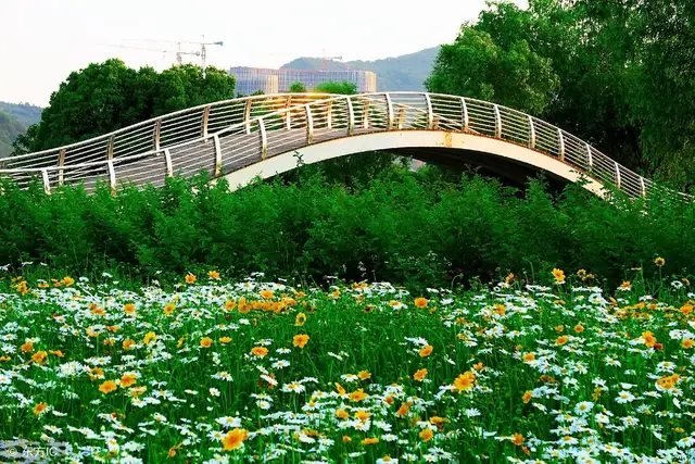 用歌词名称写的情书，太有才了，转走送给你心爱的她吧！(图3)