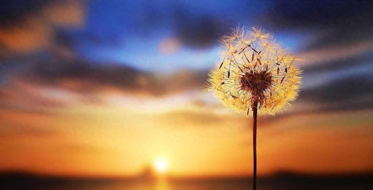 2023年激励自己前行的精选句子(图1)