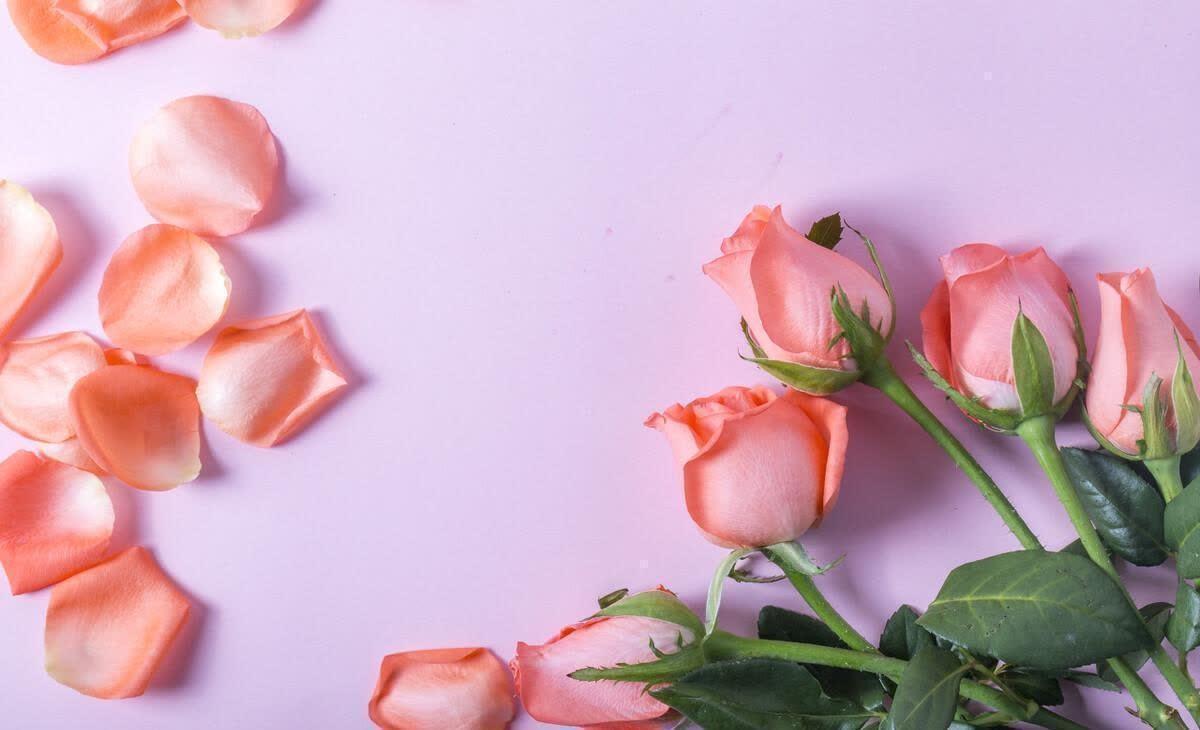 2023年激励自己前行的精选句子(图2)