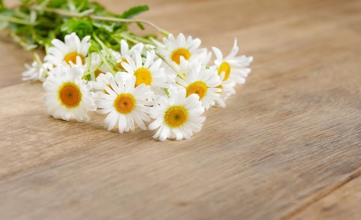 2023年激励自己前行的精选句子(图4)