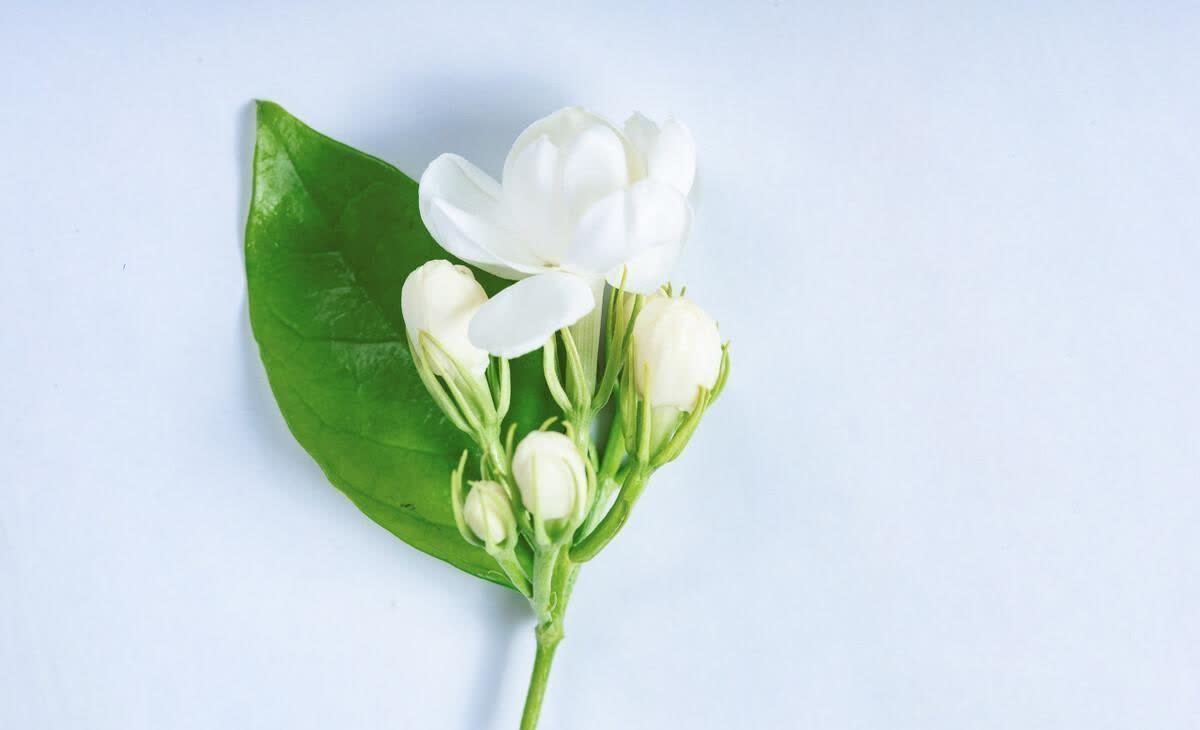 2023年激励自己前行的精选句子(图5)