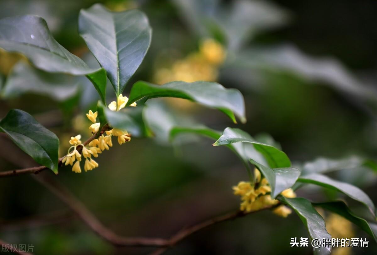 诚实做人，诚信做事，廉洁从政，与时俱进；高风亮节，继往开来(图2)