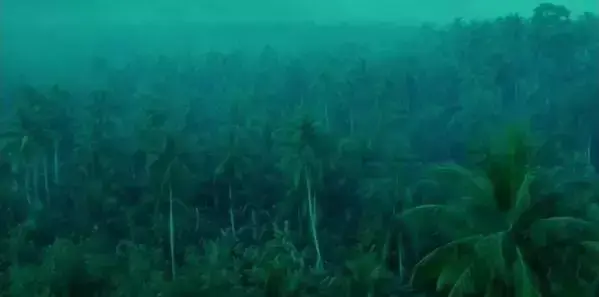 所有写给张国荣的情书，我只认这一篇(图24)