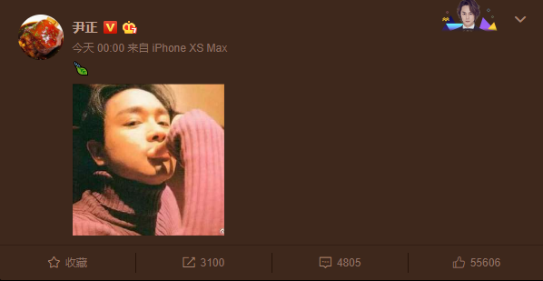 继续宠爱哥哥！袁咏仪深夜悼念张国荣，尹正连续九年缅怀张国荣(图11)