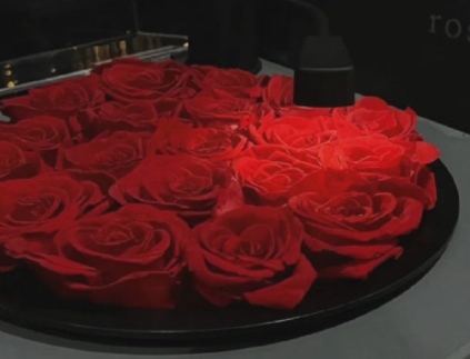 想放手的伤感说说 感情中不得以放手(图1)