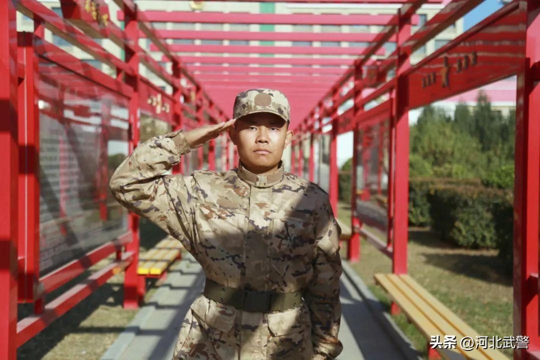 新训特刊 | 一封家书：亲爱的爸妈，我在这里很好(图2)