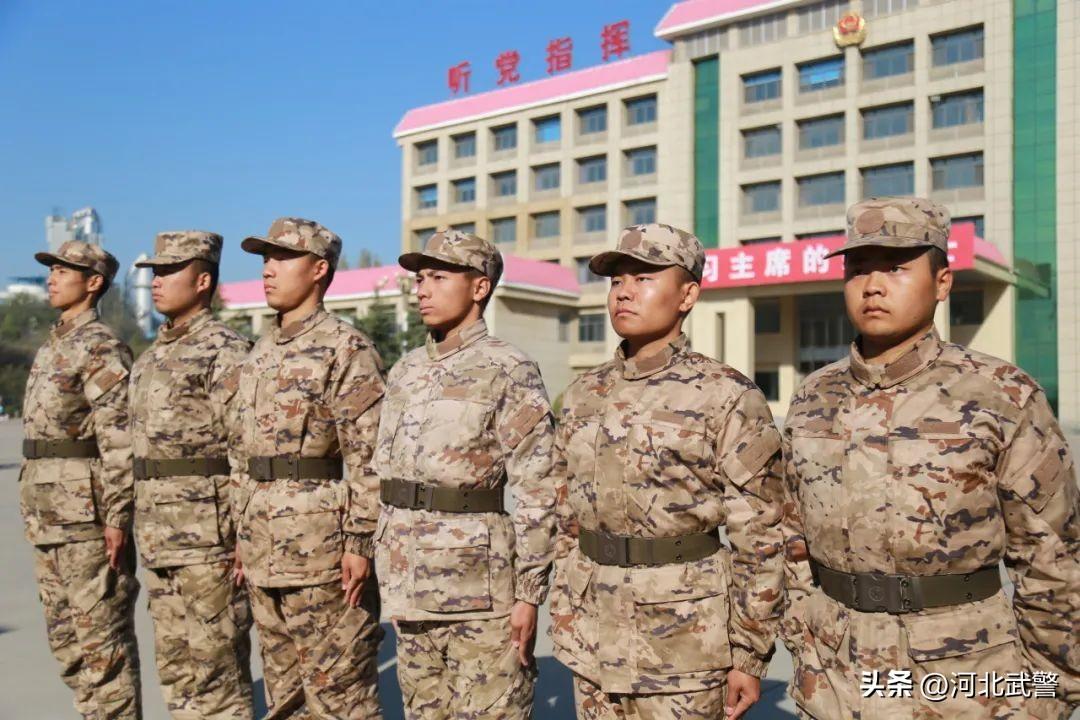 新训特刊 | 一封家书：亲爱的爸妈，我在这里很好(图6)