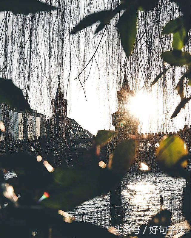 简短的鼓励人的励志经典语录，满满正能量！(图1)