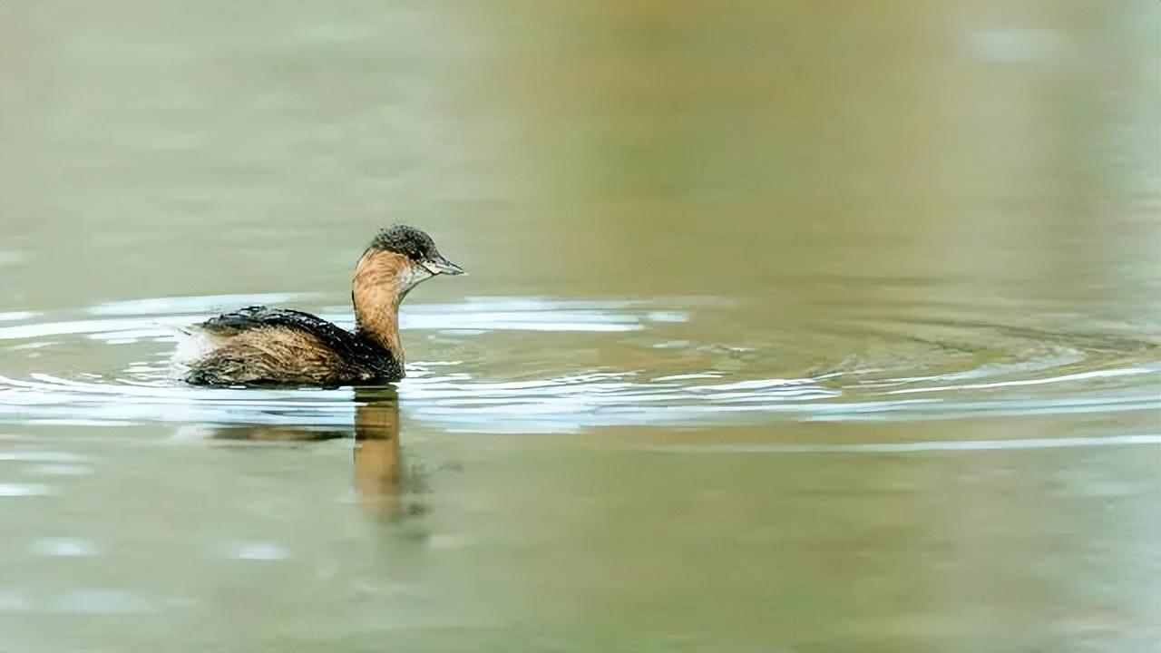 几条情感励志语录，简短精致，获赞无数(图2)