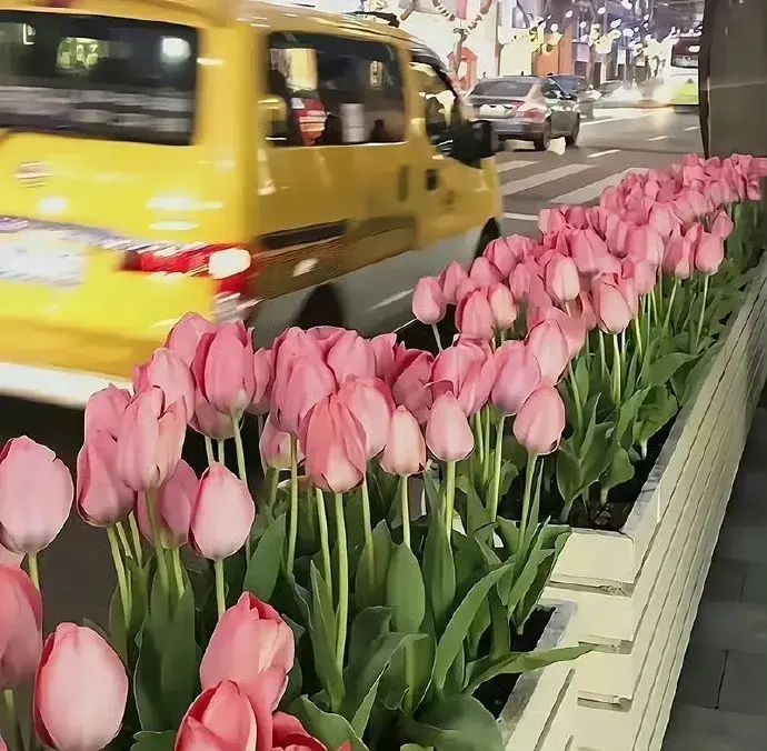 那些描述爱情的绝美语句(图4)