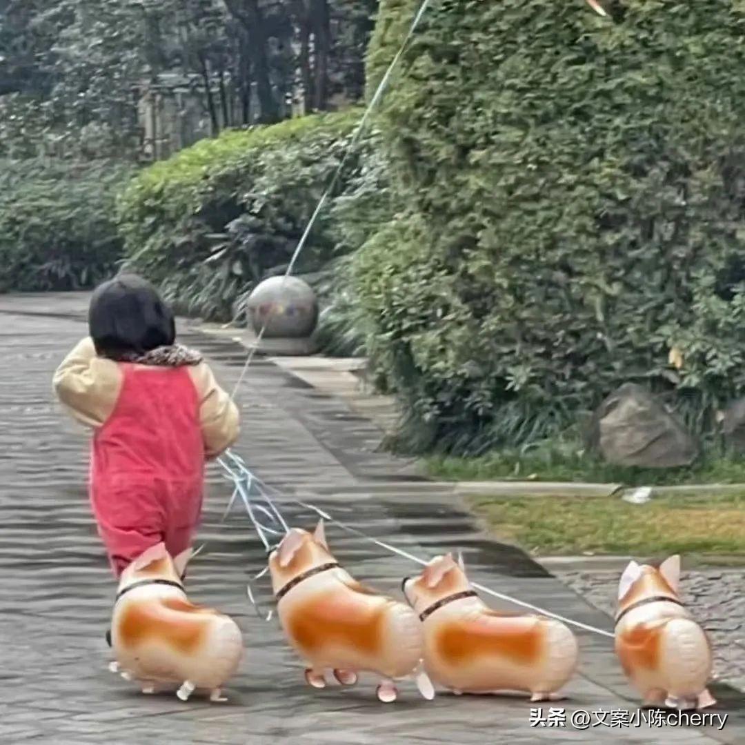 关于感叹时光飞逝的文案，很走心(图5)