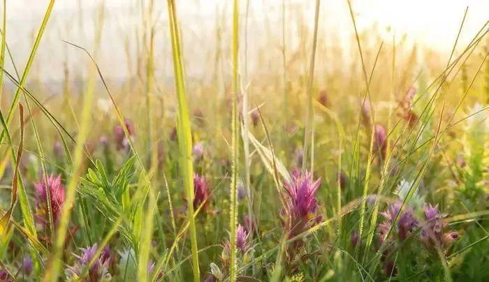 幽默夸人帅的句子，颜值与幽默相得益彰(图3)