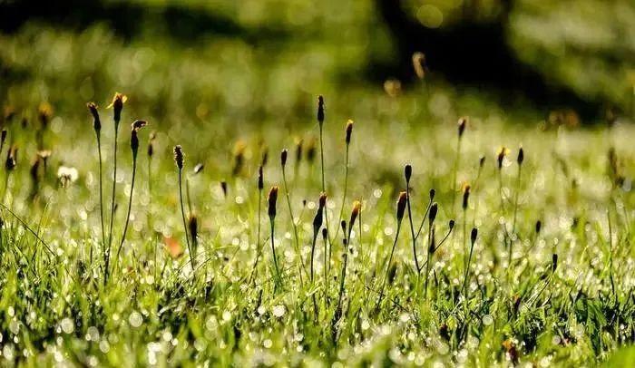 幽默夸人帅的句子，颜值与幽默相得益彰(图4)