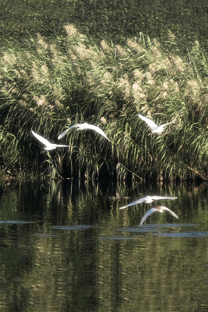 夸一个人很帅的文案 夸男生长的帅的夸张语录(图3)
