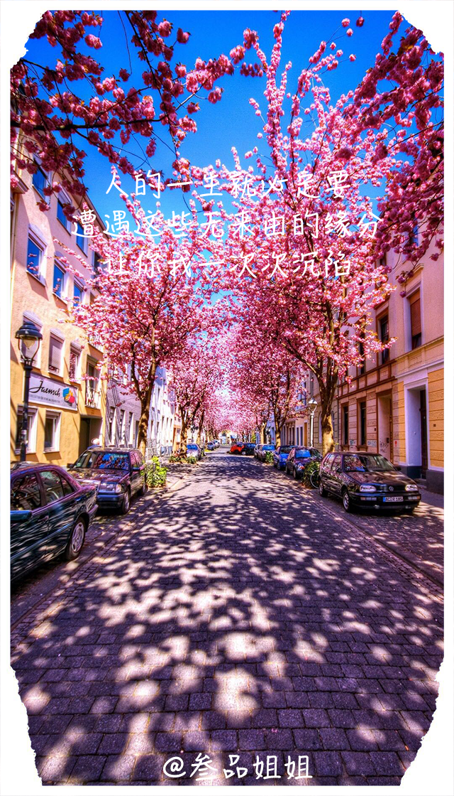 最近网易云很火句子，我爱你十年如一日沉淀，放手给你所有碧海蓝天(图4)