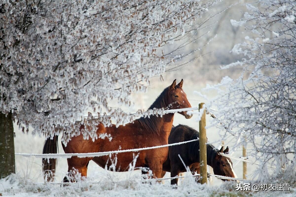 江南初雪六首，风吹雪片似花落，雨雪霏霏(图3)