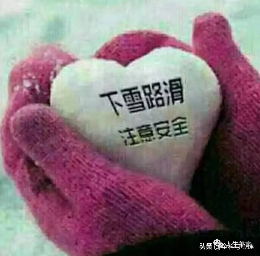 下雪了朋友圈文案，形容大雪的唯美句子(图3)