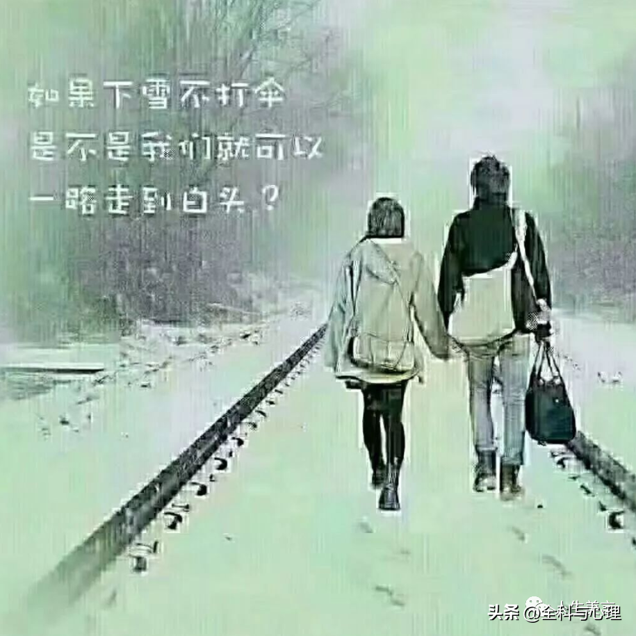 下雪了朋友圈文案，形容大雪的唯美句子(图4)