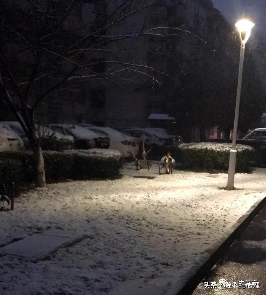 下雪了朋友圈文案，形容大雪的唯美句子(图5)