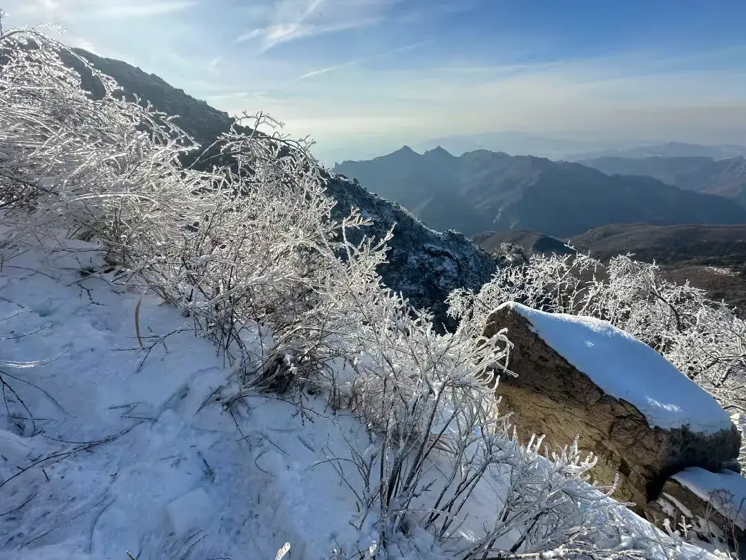 坚持自我，宁缺毋滥(图2)
