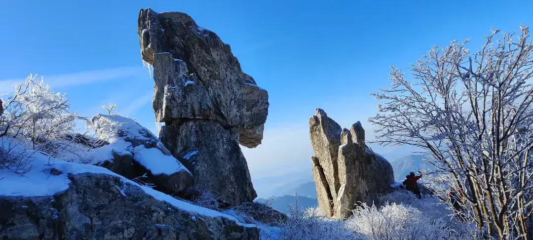 坚持自我，宁缺毋滥(图4)