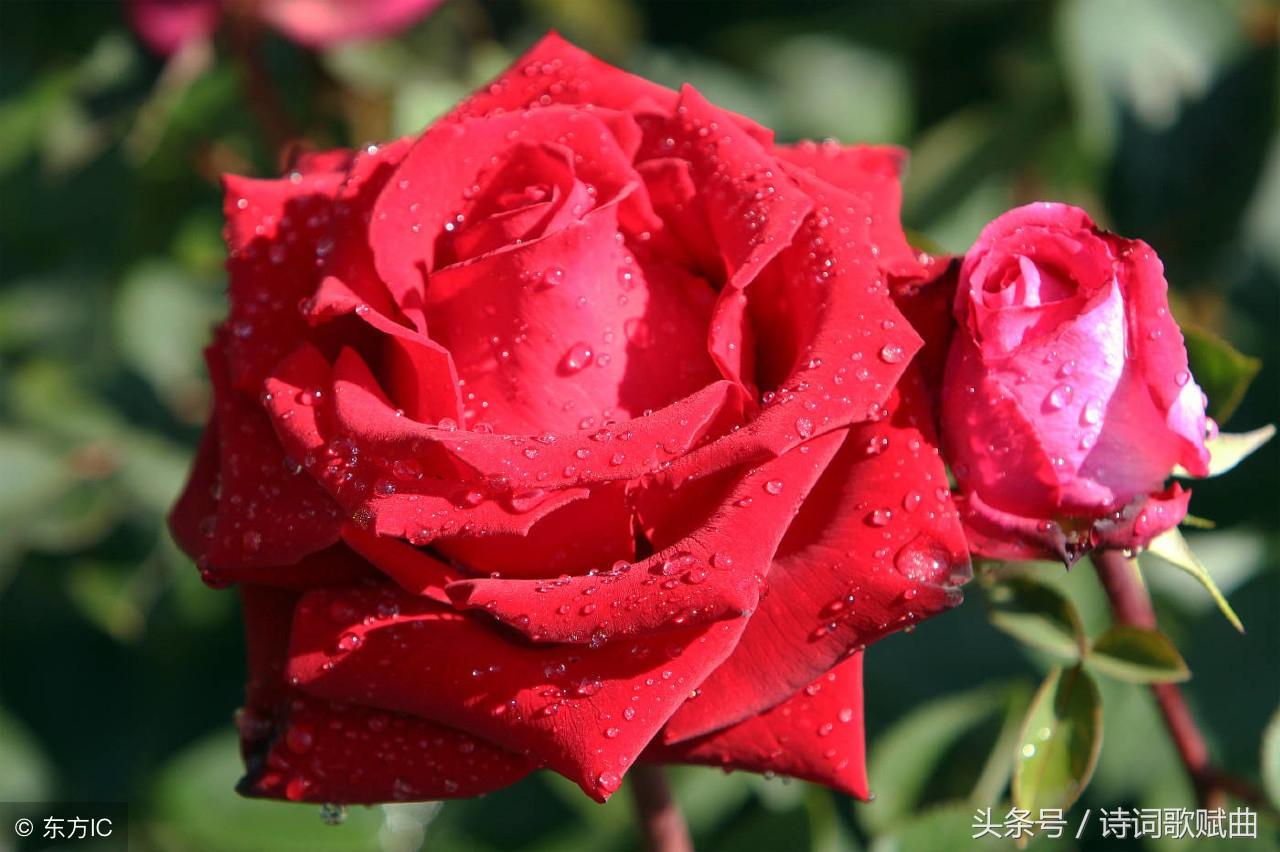 十句国学经典名言，警醒世人，做人，要讲规矩(图1)