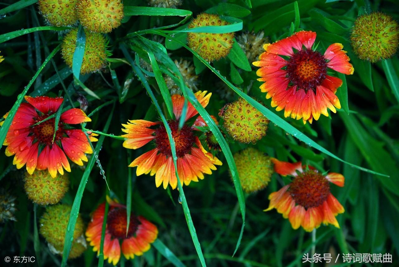 十句国学经典名言，警醒世人，做人，要讲规矩(图5)