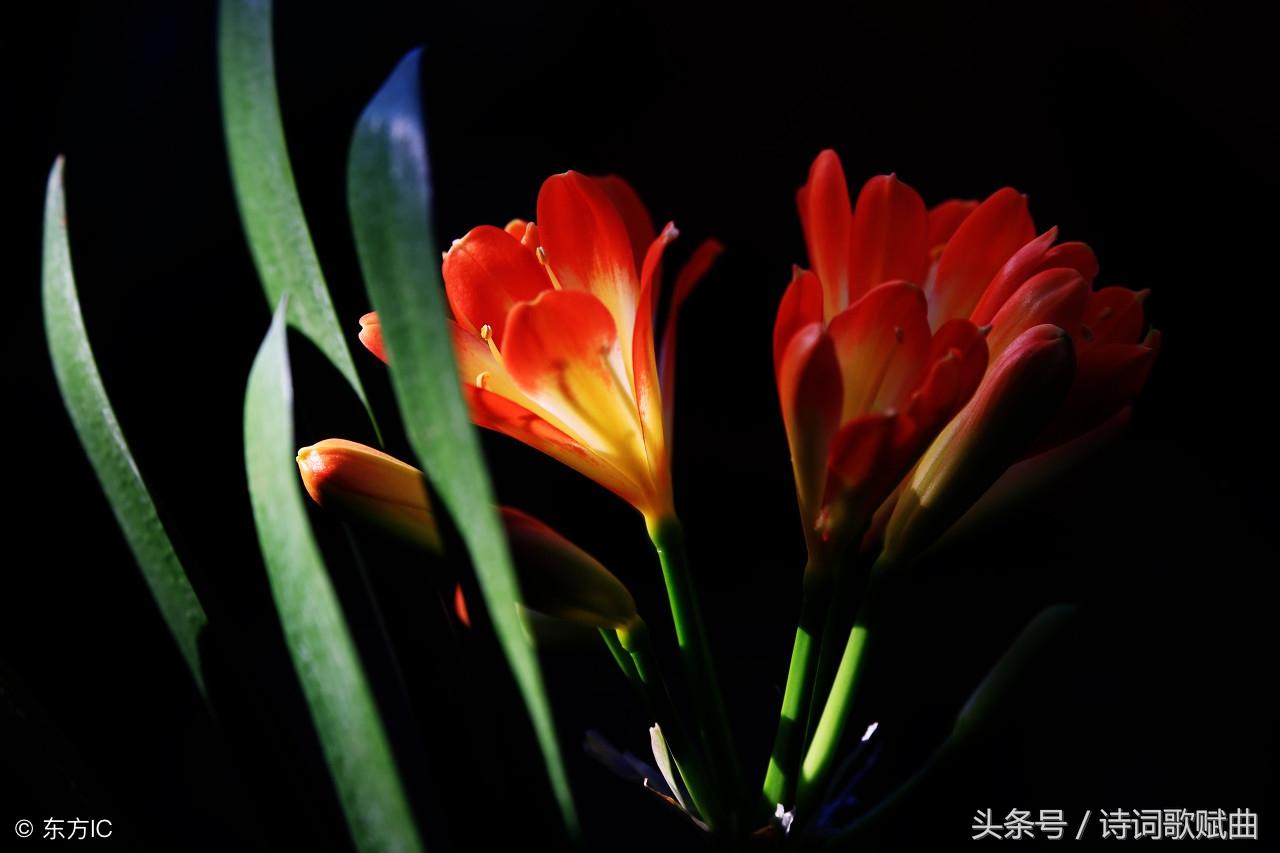 十句国学经典名言，警醒世人，做人，要讲规矩(图7)