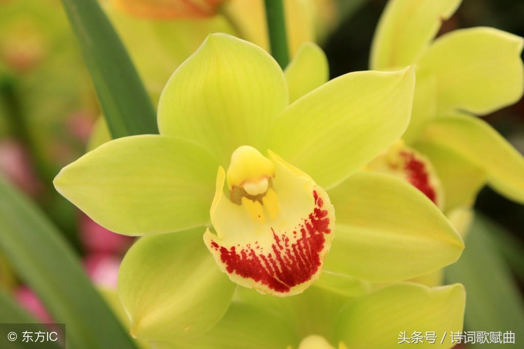 十句国学经典名言，警醒世人，做人，要讲规矩(图12)