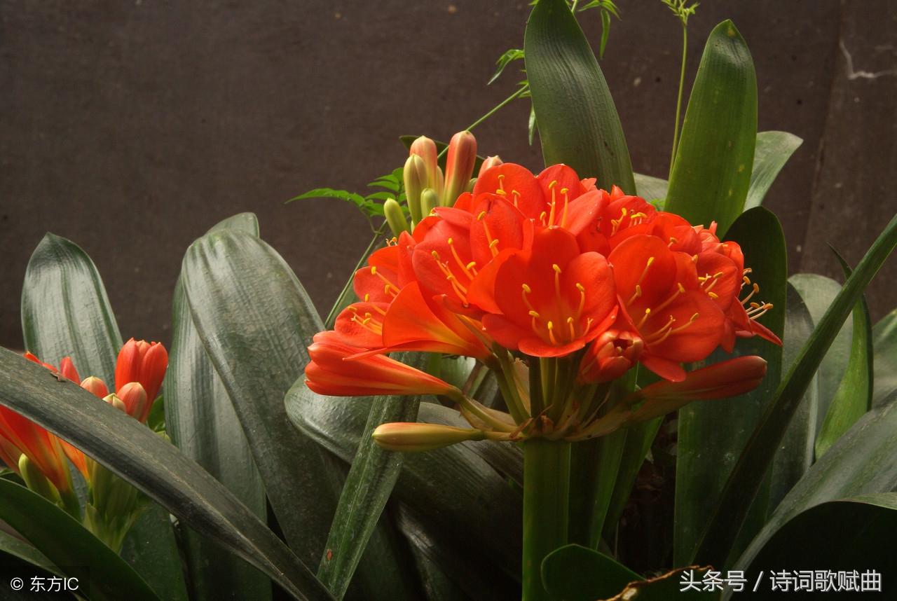 十句国学经典名言，警醒世人，做人，要讲规矩(图13)