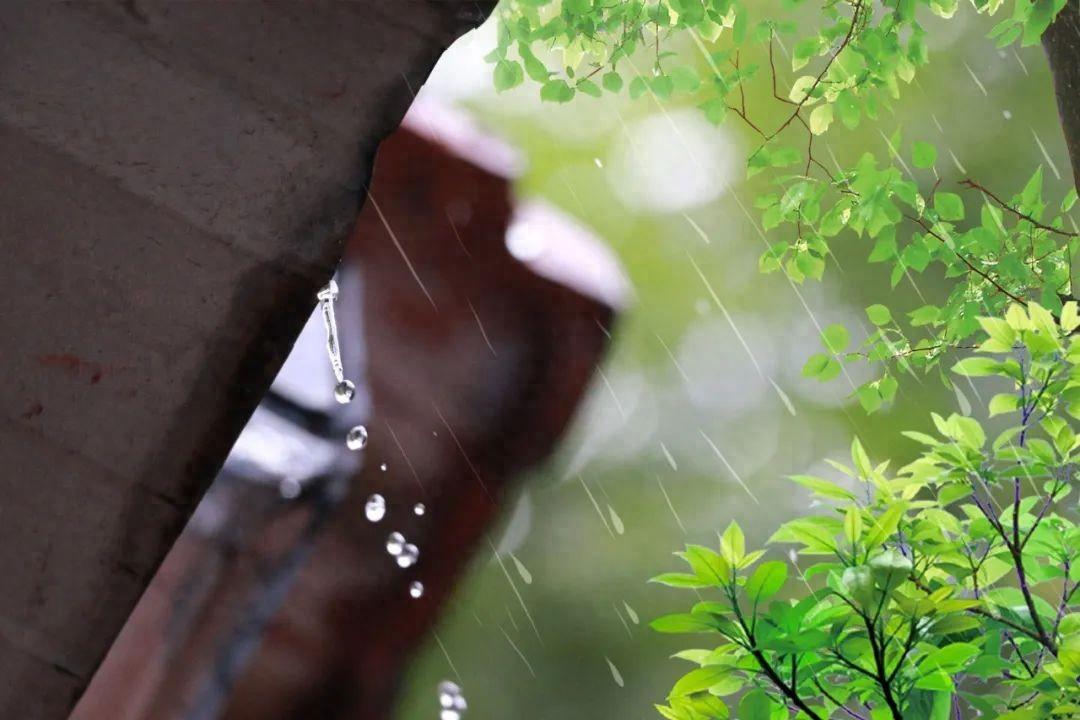 30句凉爽的夏日诗词，天热读一读，从头舒服到脚！(图1)