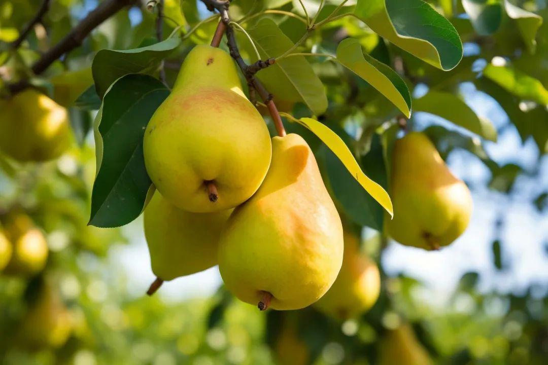 夏日尽，凉风起！30首初秋诗词，人间最美是清秋(图9)