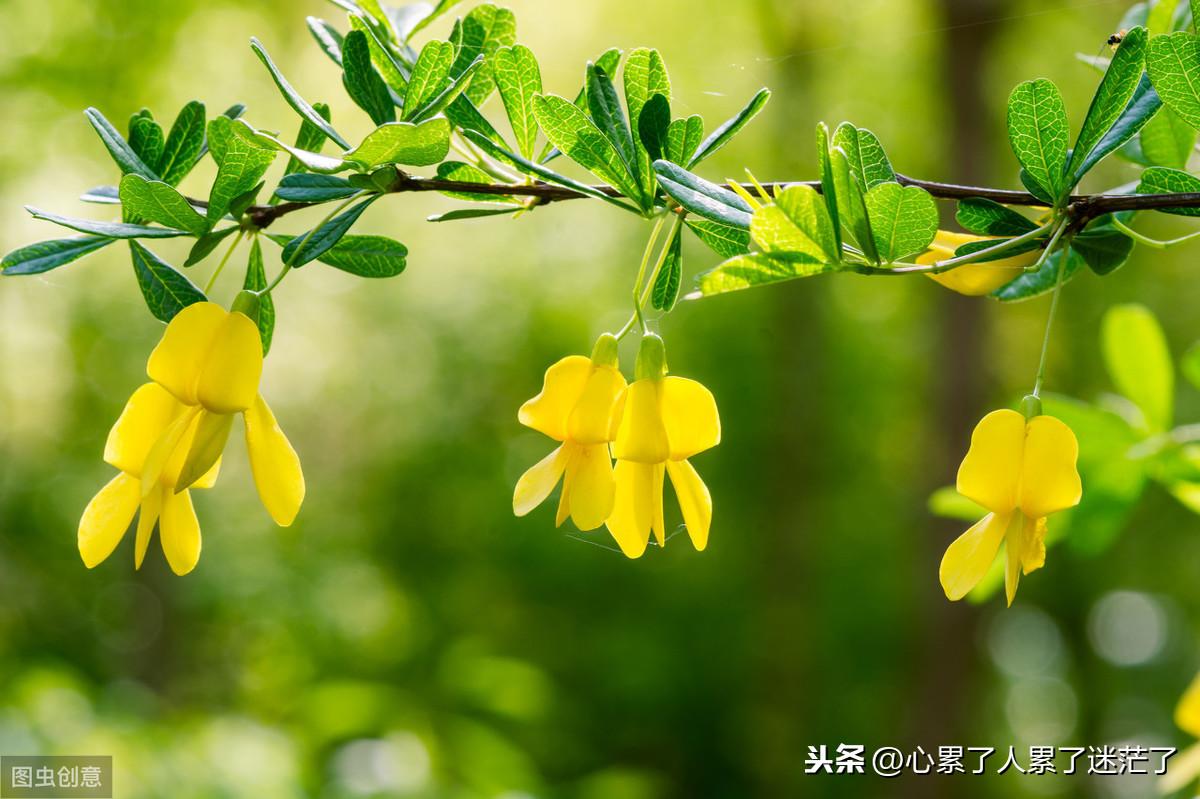 人生感悟的励志语录，我怀念我们曾经在一起的日子(图1)