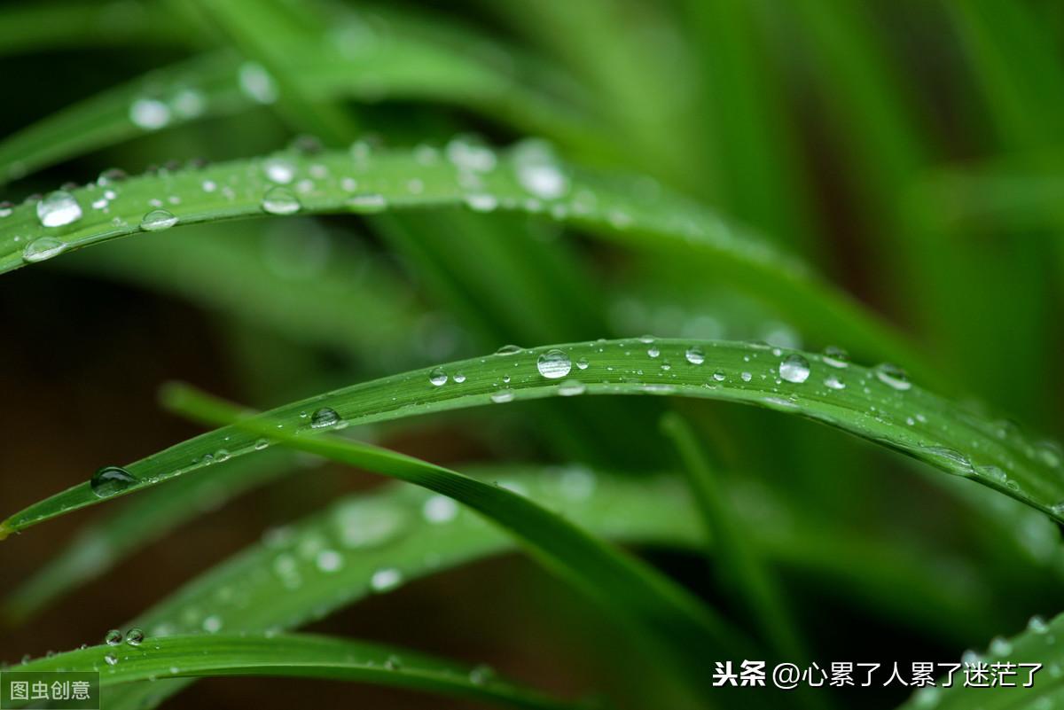 人生感悟的励志语录，我怀念我们曾经在一起的日子(图3)