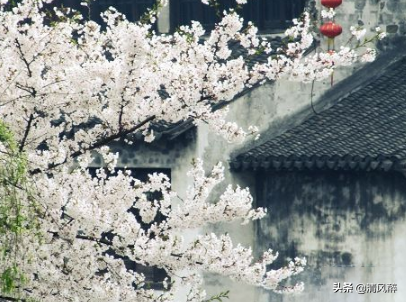 回忆过去的伤感爱情说说(图3)