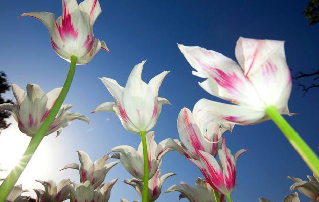 浪漫诗意的爱情句子：曾经再美，终将成为难忘的回忆(图3)