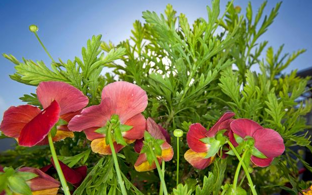 浪漫诗意的爱情句子：曾经再美，终将成为难忘的回忆(图4)