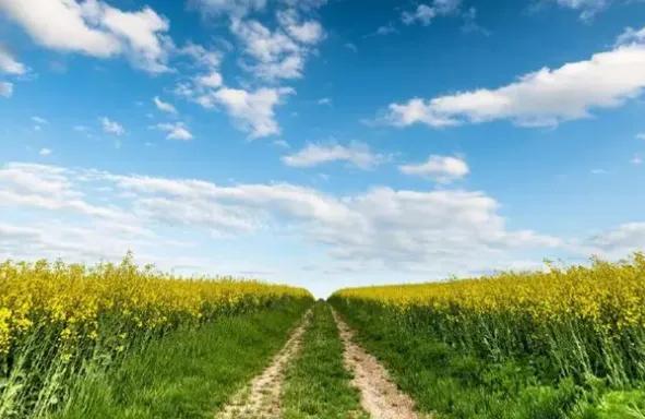 正能量人生奋斗心语，激励自己加油努力的文案，写给自己的一段话(图1)