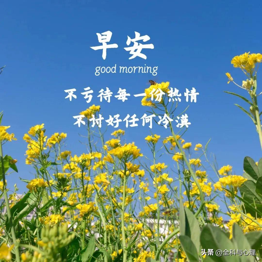 努力变优秀的简短句子：致奋斗中的人(图5)