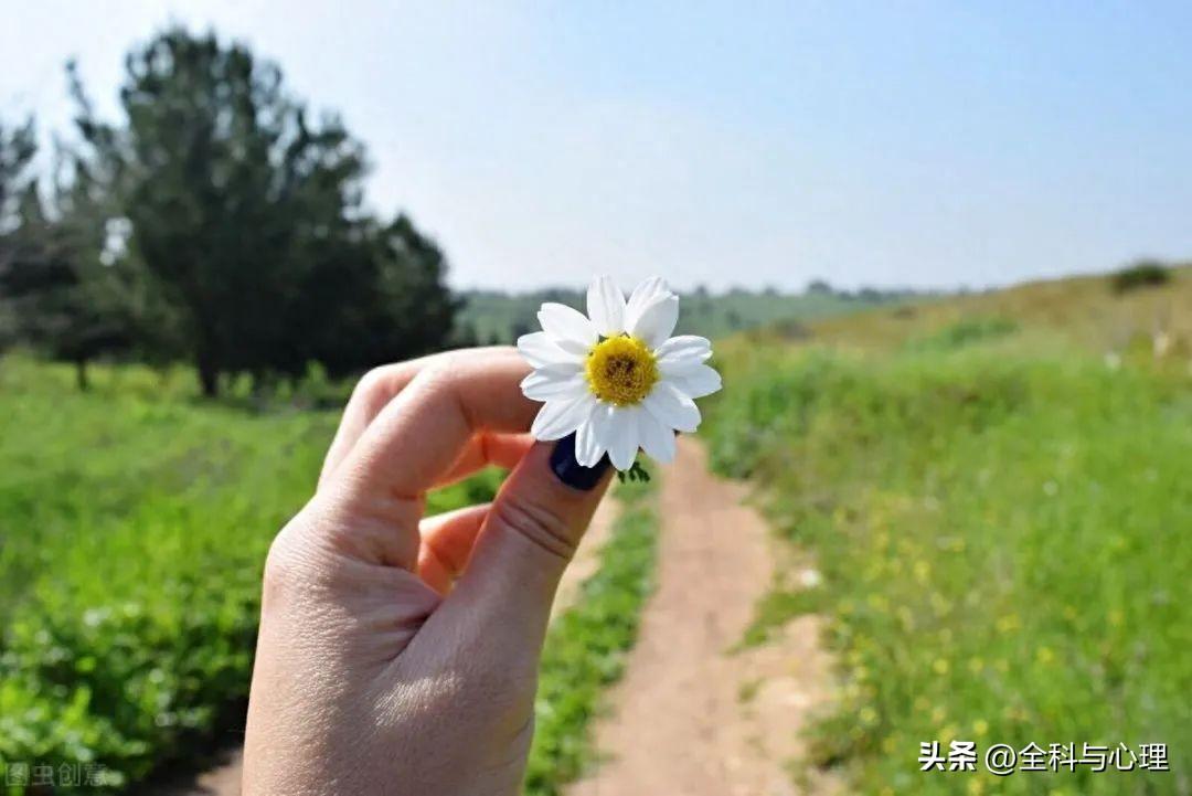 鼓励人奋进的句子，努力文案短句干净治愈(图2)