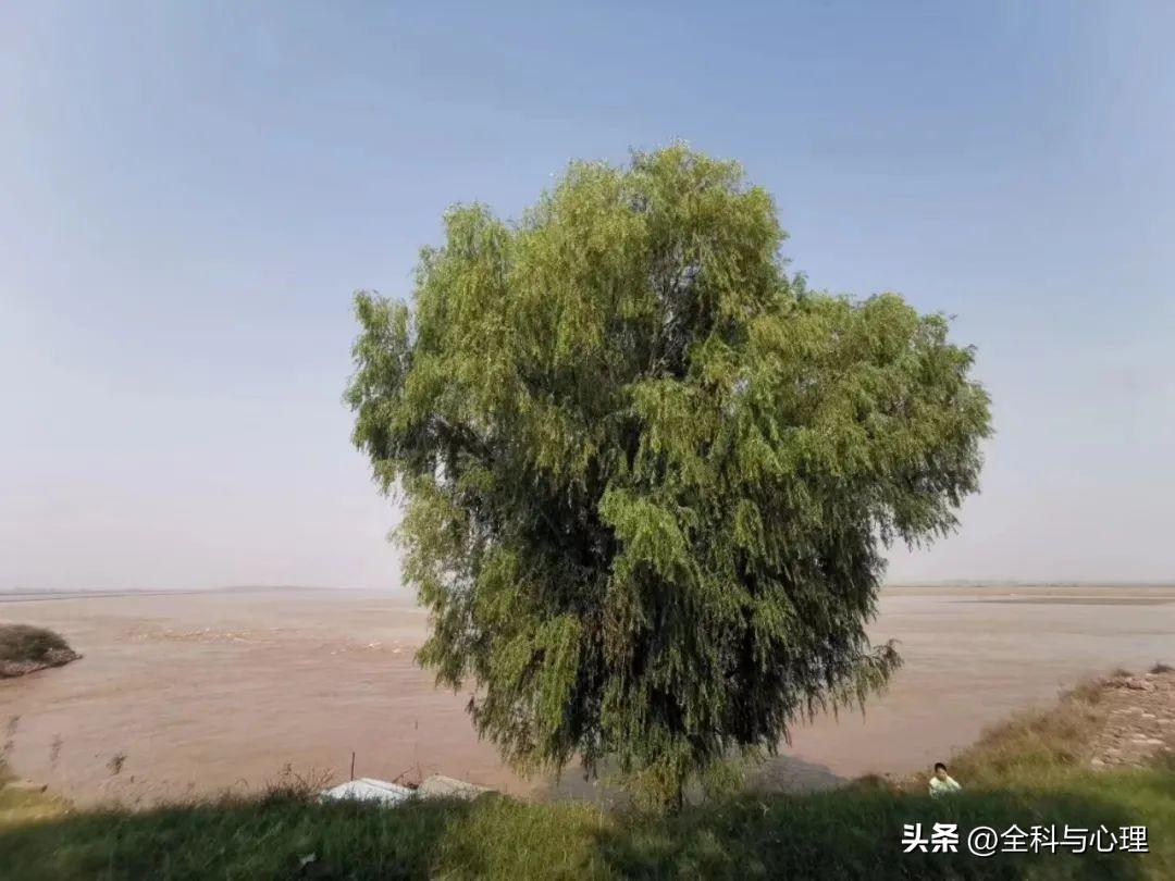 鼓励人奋进的句子，努力文案短句干净治愈(图3)