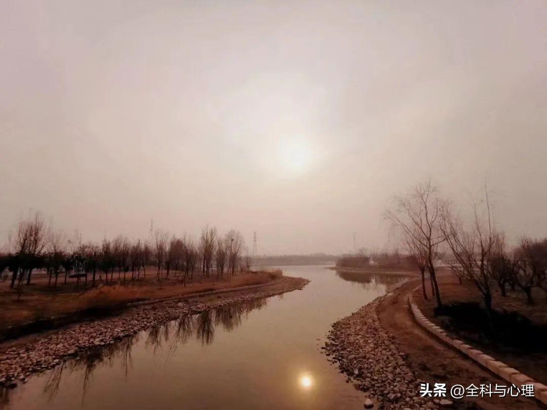 鼓励人奋进的句子，努力文案短句干净治愈(图4)