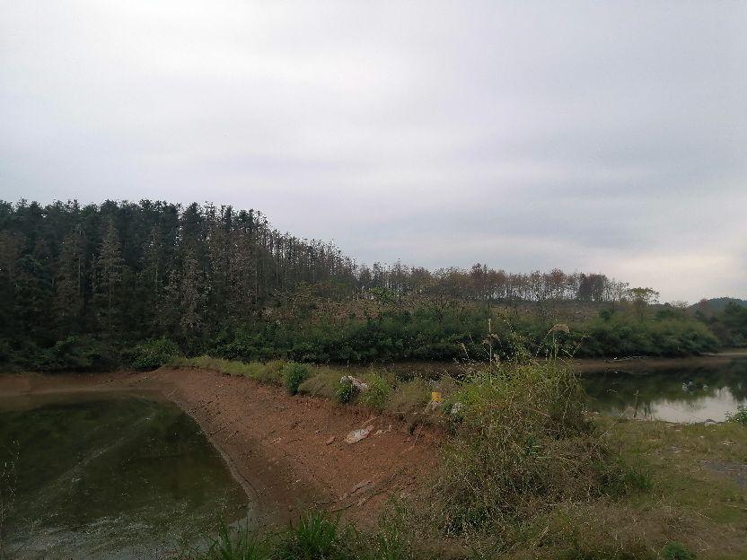 故乡的原风景(图3)