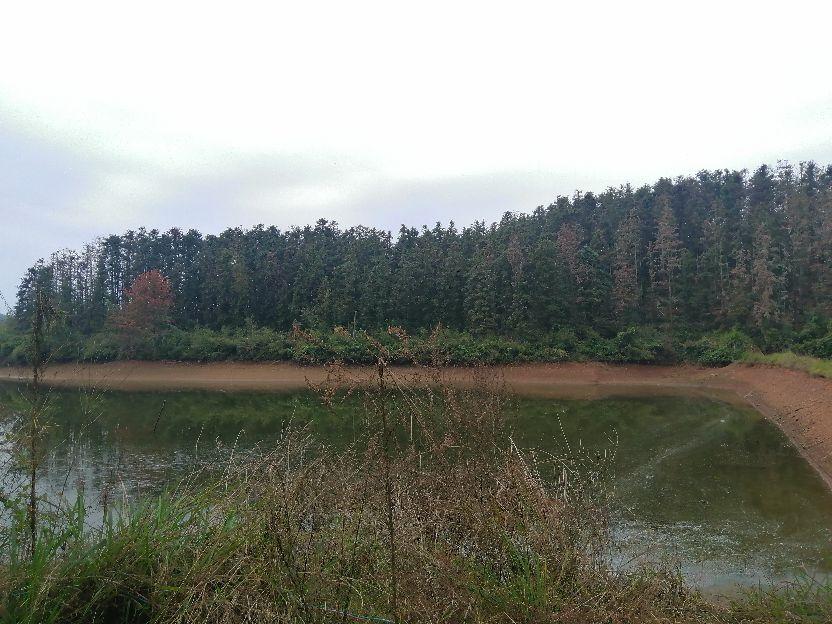 故乡的原风景(图4)