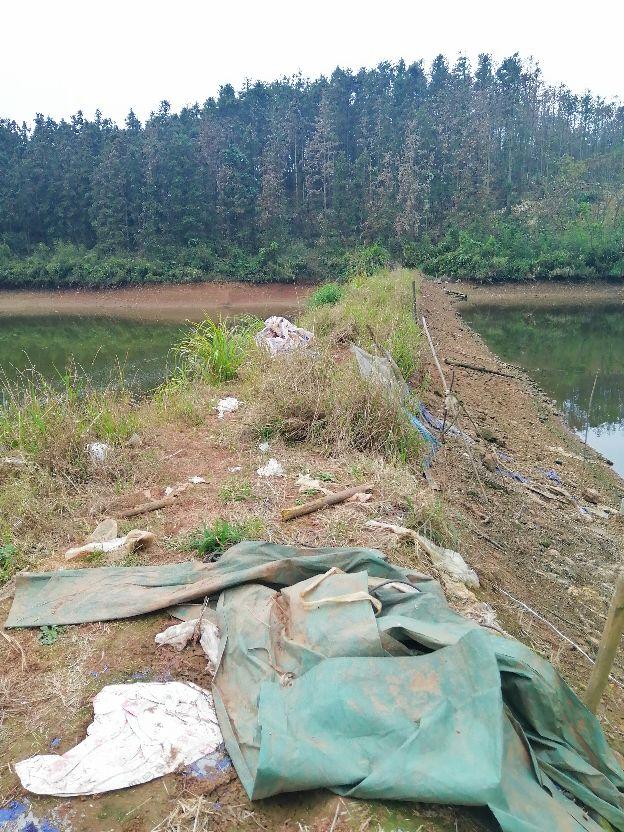 故乡的原风景(图5)