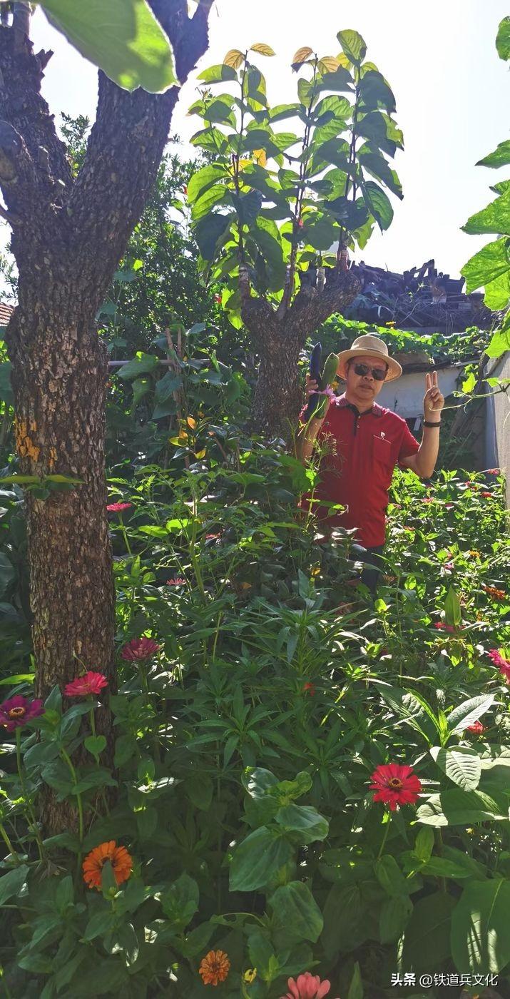 老屋心最暖 秋韵果尤香一一写在故乡的小诗(图11)