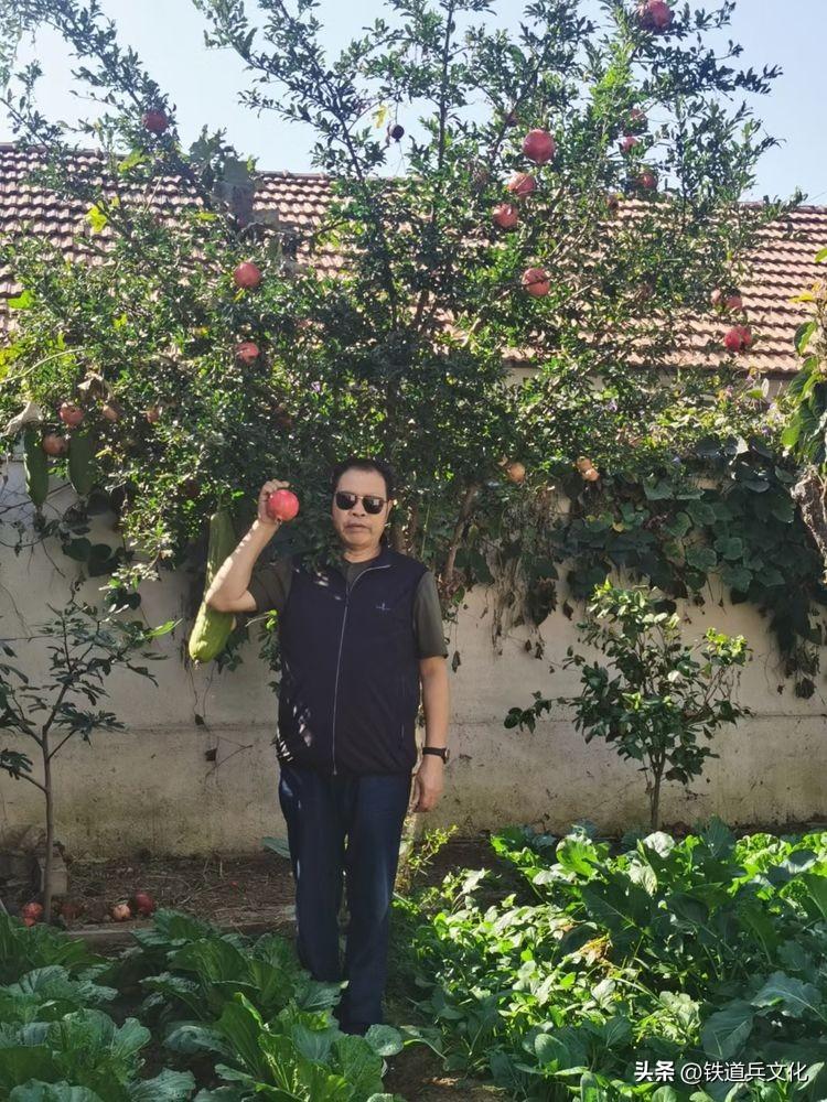 老屋心最暖 秋韵果尤香一一写在故乡的小诗(图28)