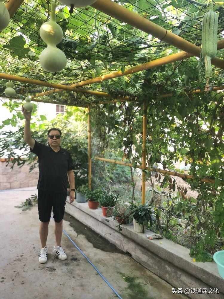 老屋心最暖 秋韵果尤香一一写在故乡的小诗(图43)